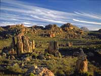 Cedarberg.jpg